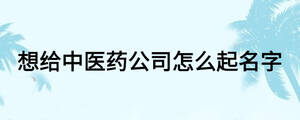 想给中医药公司怎么起名字