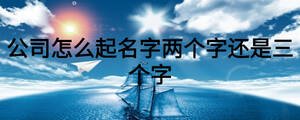 公司怎么起名字两个字还是三个字