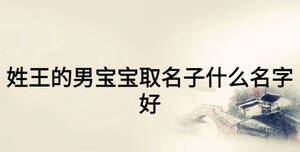 姓王的男宝宝取名子什么名字好
