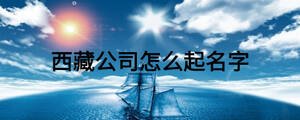 西藏公司怎么起名字