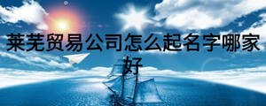 莱芜贸易公司怎么起名字哪家好