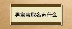 男宝宝取名苏什么