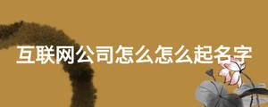 互联网公司怎么怎么起名字