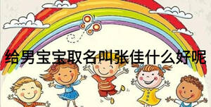 给男宝宝取名叫张佳什么好呢