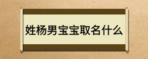 姓杨男宝宝取名什么