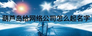 葫芦岛给网络公司怎么起名字