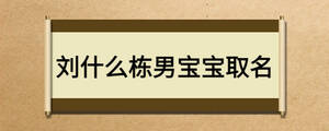 刘什么栋男宝宝取名