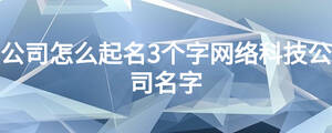 公司怎么起名3个字网络科技公司名字