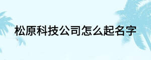 松原科技公司怎么起名字