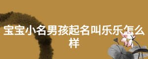 宝宝小名男孩起名叫乐乐怎么样