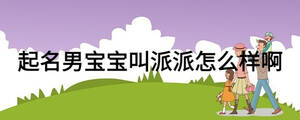 起名男宝宝叫派派怎么样啊