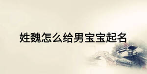 姓魏怎么给男宝宝起名