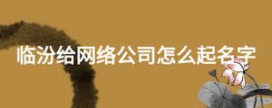 临汾给网络公司怎么起名字