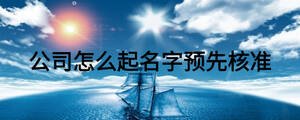 公司怎么起名字预先核准