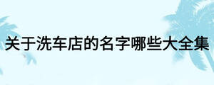 关于洗车店的名字哪些大全集