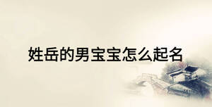 姓岳的男宝宝怎么起名