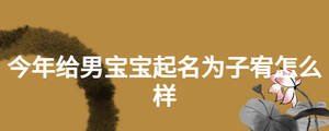 今年给男宝宝起名为子宥怎么样