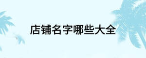 店铺名字哪些大全