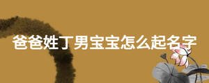 爸爸姓丁男宝宝怎么起名字