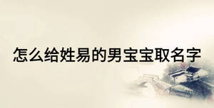 怎么给姓易的男宝宝取名字