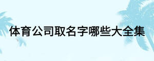 体育公司取名字哪些大全集