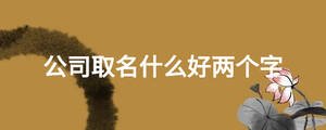 公司取名什么好两个字