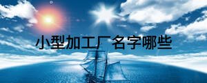 小型加工厂名字哪些