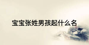 宝宝张姓男孩起什么名
