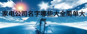 家电公司名字哪些大全简单大气