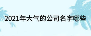 2021年大气的公司名字哪些