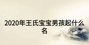 2020年王氏宝宝男孩起什么名