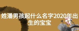 姓潘男孩起什么名字2020年出生的宝宝