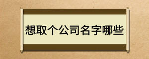 想取个公司名字哪些