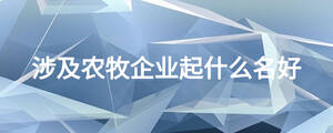 涉及农牧企业起什么名好
