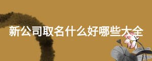 新公司取名什么好哪些大全