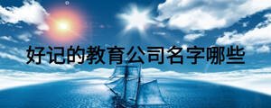 好记的教育公司名字哪些