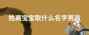 姓高宝宝取什么名字男孩