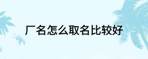 厂名怎么取名比较好