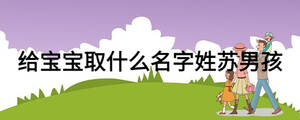 给宝宝取什么名字姓苏男孩