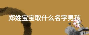 郑姓宝宝取什么名字男孩