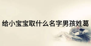 给小宝宝取什么名字男孩姓葛