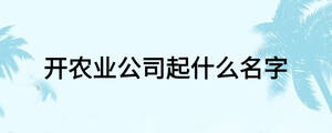 开农业公司起什么名字