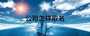 公司怎样取名