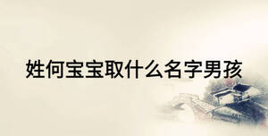 姓何宝宝取什么名字男孩