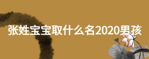 张姓宝宝取什么名2020男孩