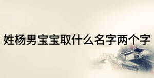 姓杨男宝宝取什么名字两个字