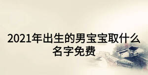 2021年出生的男宝宝取什么名字免费