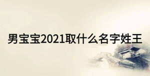男宝宝2021取什么名字姓王