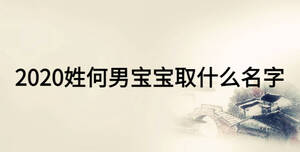 2020姓何男宝宝取什么名字