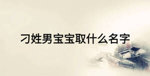 刁姓男宝宝取什么名字